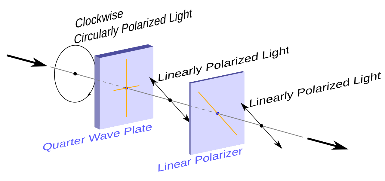 Polarizer
