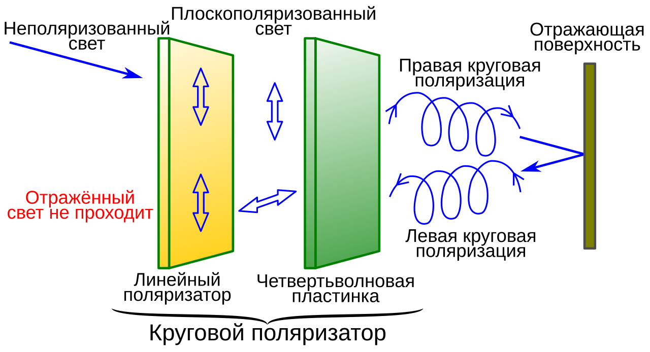 Polarizer